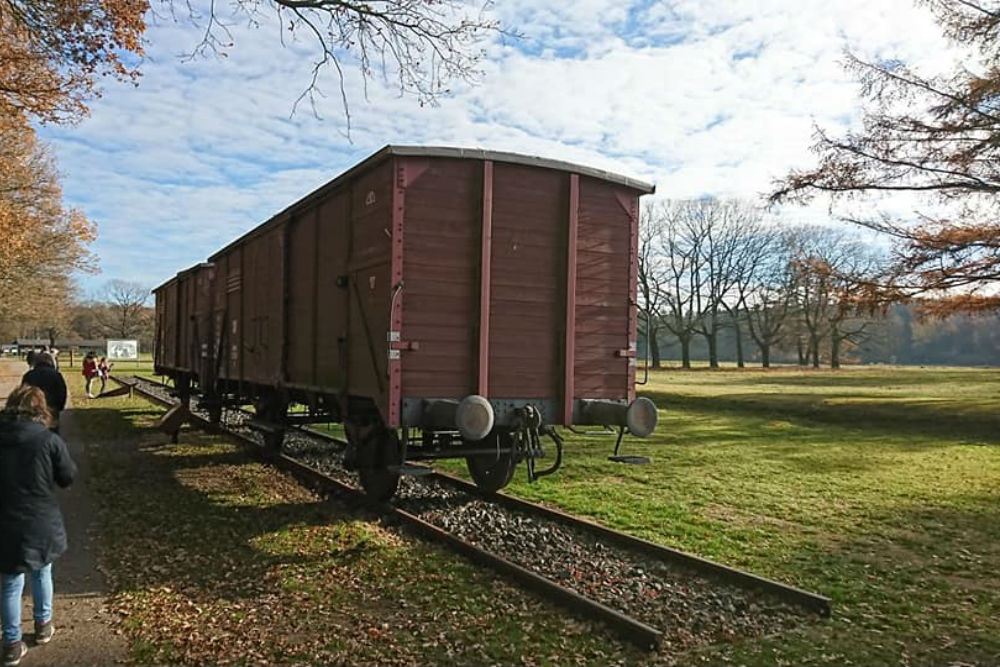 Freight Wagons 