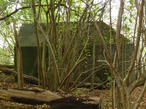 Group Shelter Type P Amelisweerd