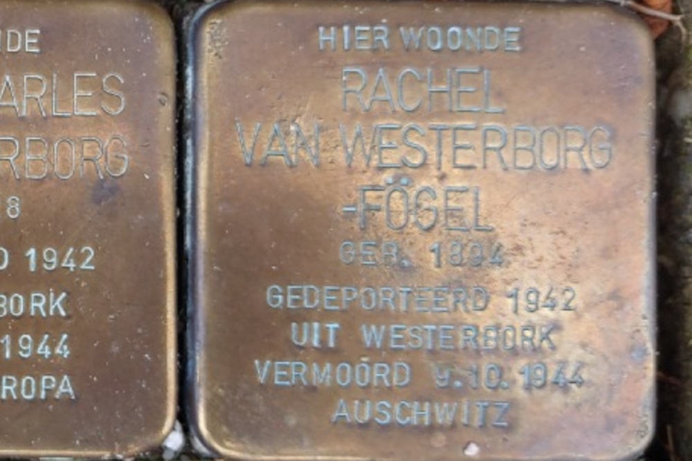 Stumbling Stones Burgemeester Meineszlaan 85a #4