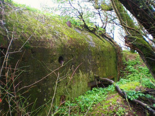 Atlantikwall - Widerstandsnest Ro 253 