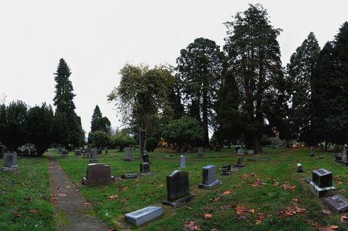 Commonwealth War Grave Evergreen Cemetery