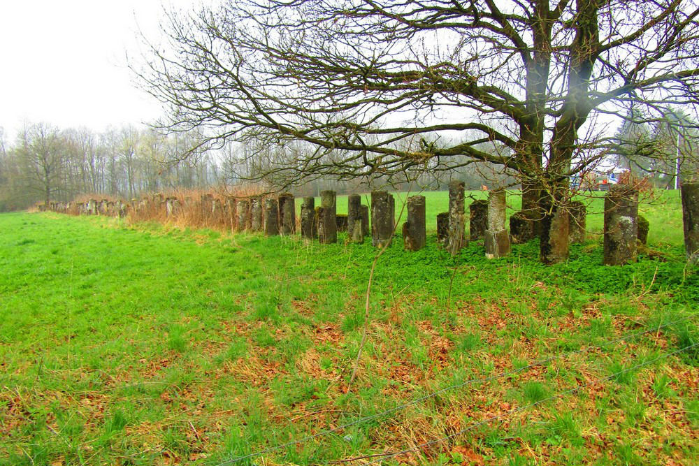 Anti-tank Line Bovigny #2