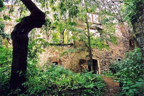 Ruins Castle Gościszw #2