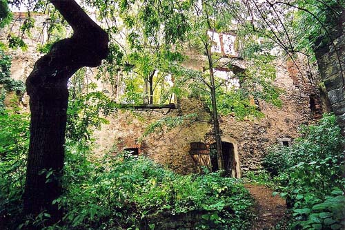 Ruïne Kasteel Gościszów #2