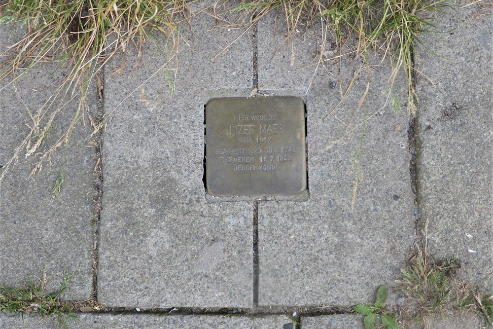 Stolperstein Dijkstraat 110