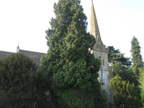 Commonwealth War Grave St. John the Evangelist Churchyard