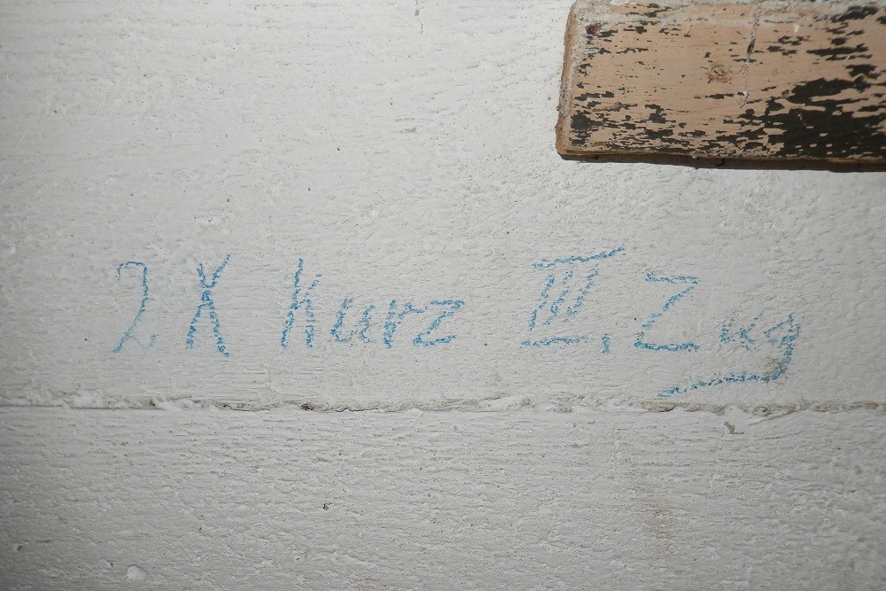 Stützpunkt 265 Lungenkraut - L430A Unterstand #3