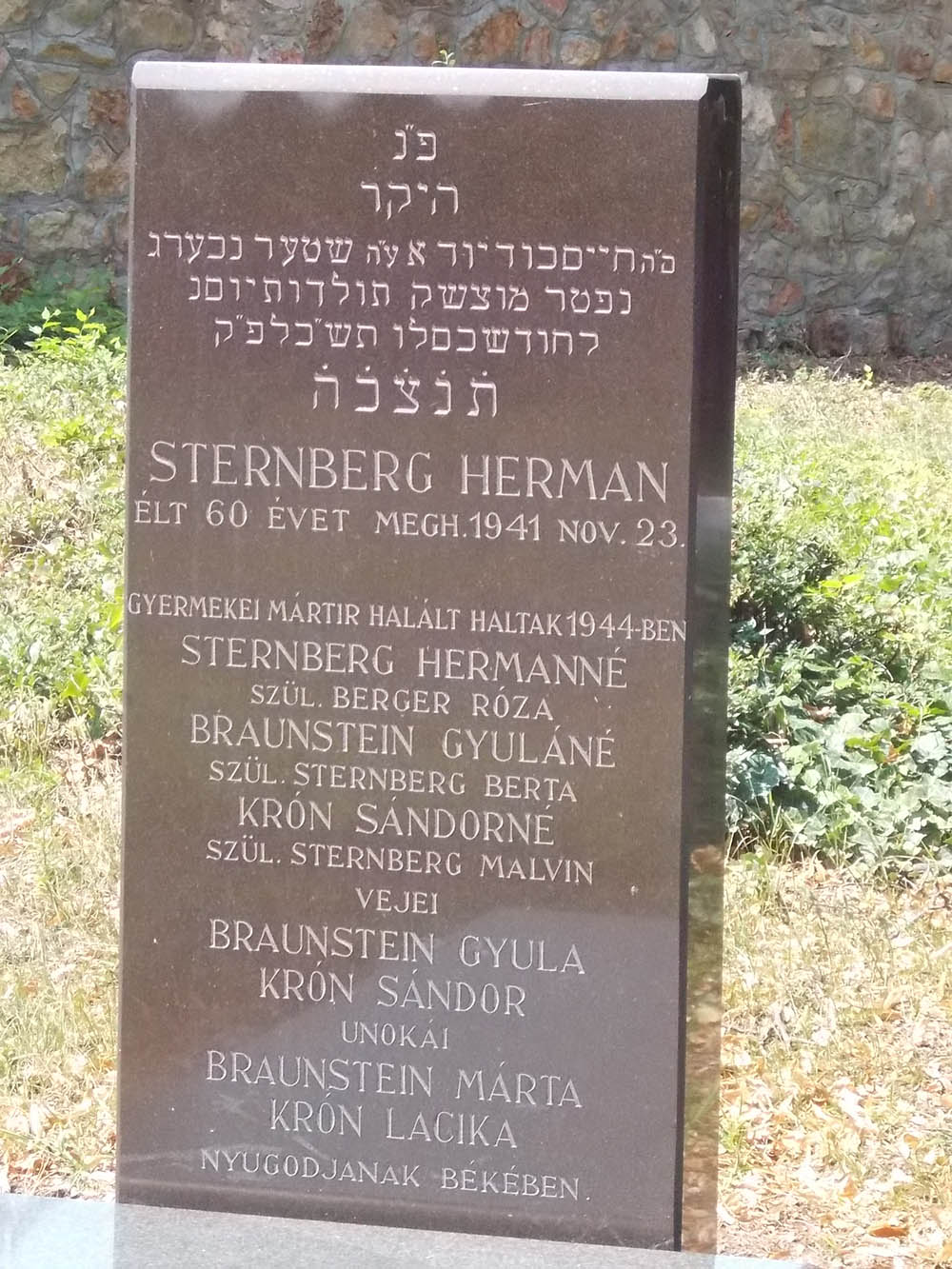Jewish Cemetery Tata #2