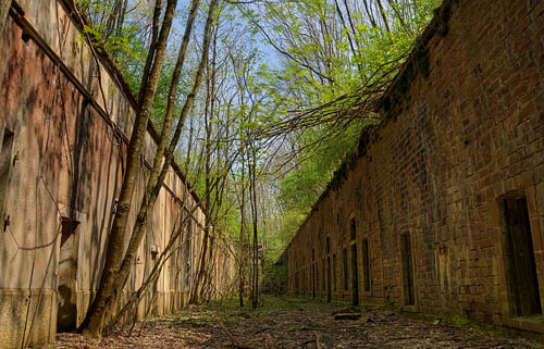 Fort de Roppe #1