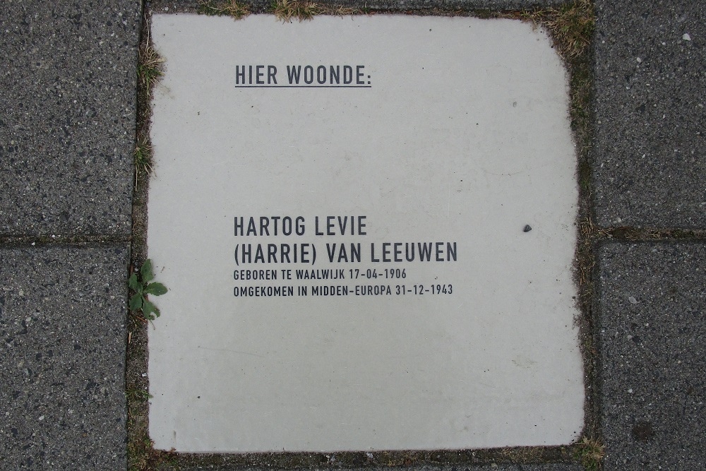 Memorial Stone Meester van Coothstraat 43 #1