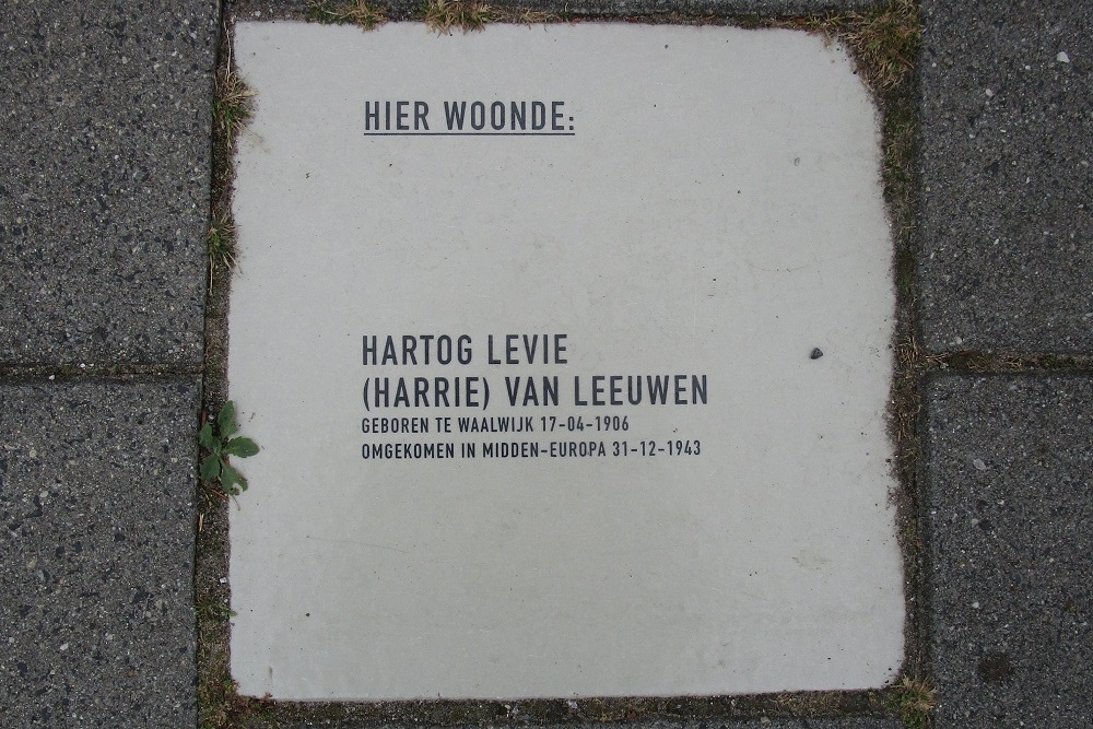 Memorial Stone Meester van Coothstraat 43