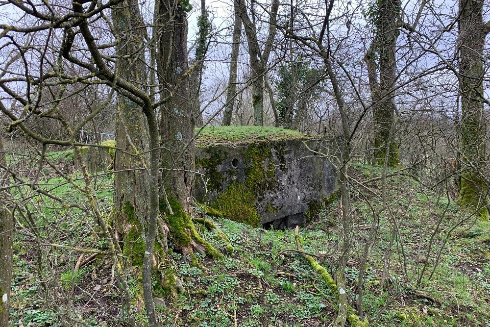 Bunker C - Position Avance Dolhain (Limbourg) #1