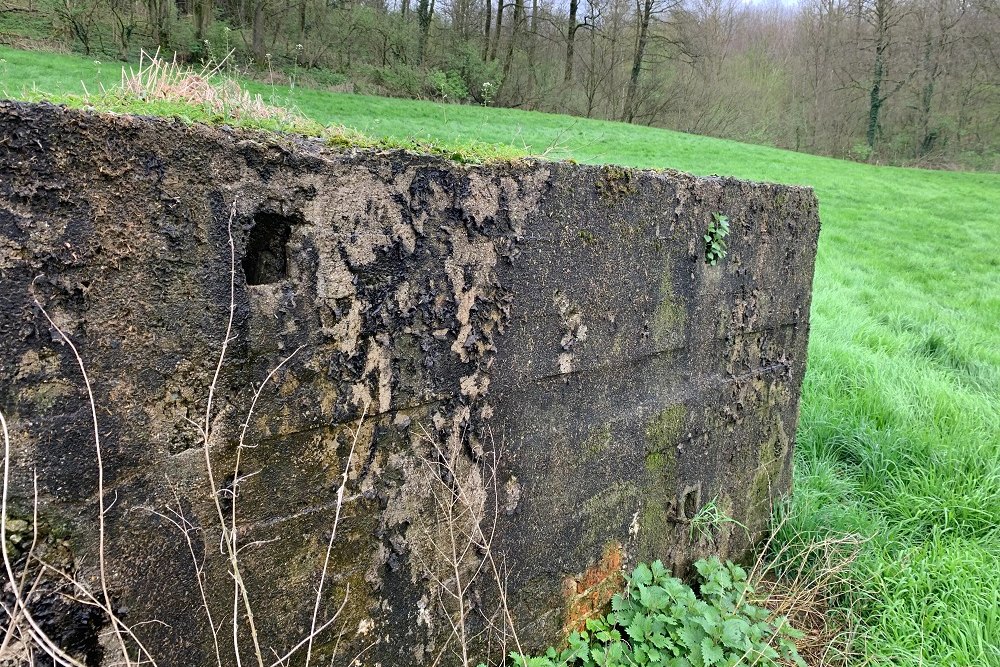 Bunker A - Advanced Position Beusdael #4