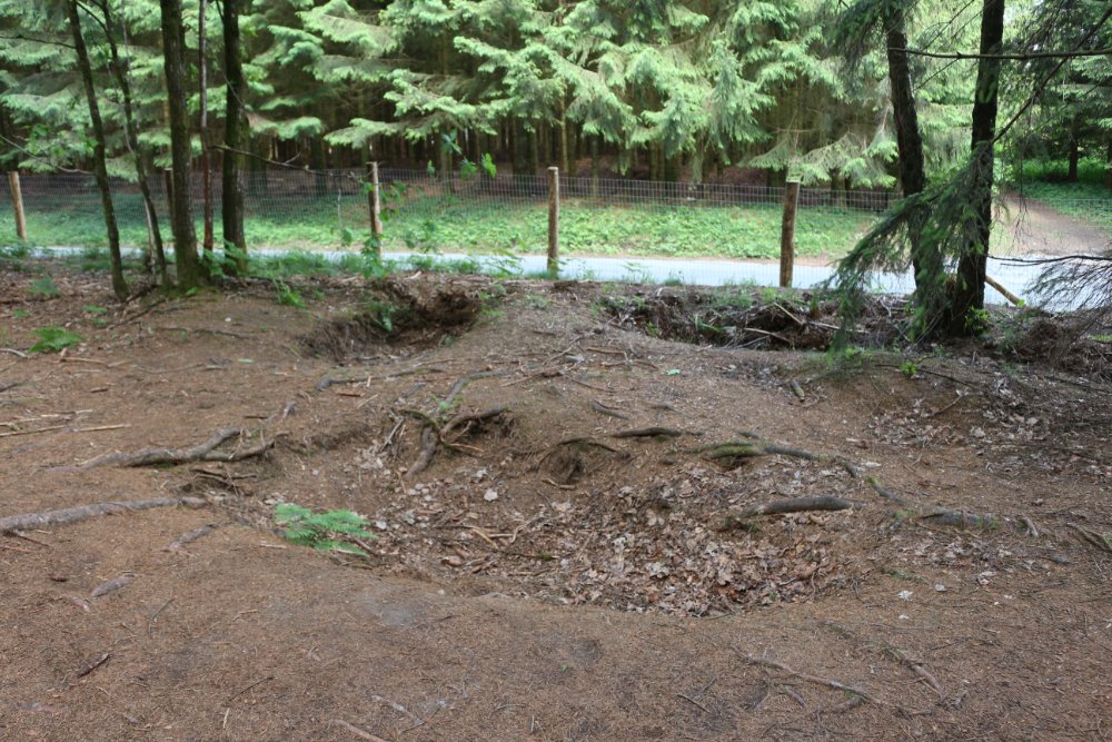 Foxholes 101st Airborne Division #6