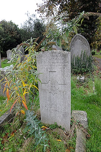 Oorlogsgraven van het Gemenebest St Mary Churchyard #3