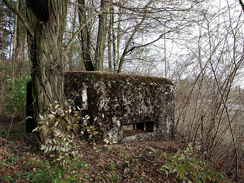 Polish Casemate #1