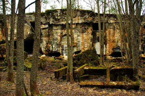 Vesting Vyborg - Kustartillerie Fort 