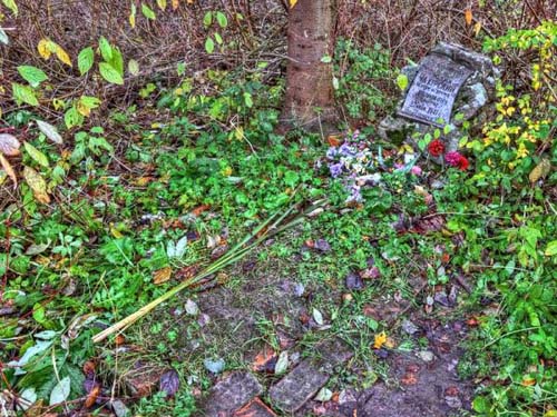 Field Grave Russian Soldier Pushkin