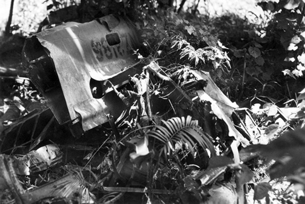 Crash Site P-40N-5-CU Kittyhawk NZ3186 Code 81/G #1