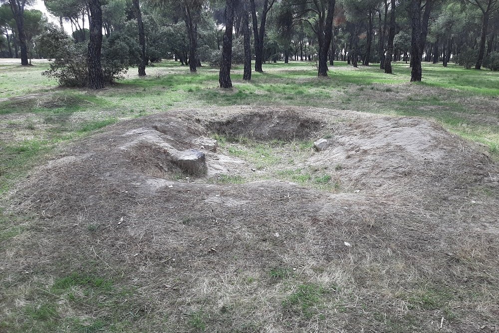 Trench and Rifle Pit Dehesa de Navalcarbón #3