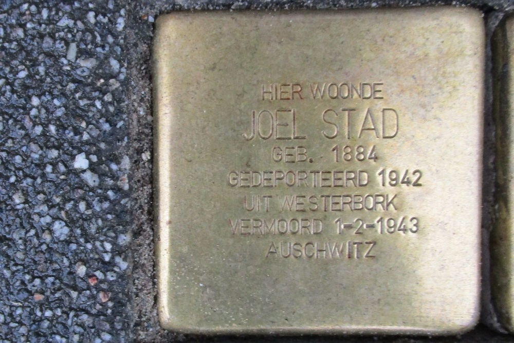 Stolpersteine Bergselaan 244a #2