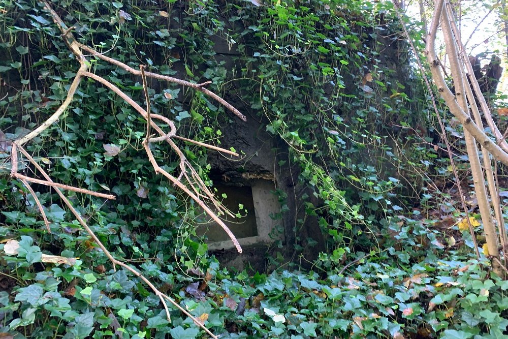 Bunker BV 10 Jevoumont #2