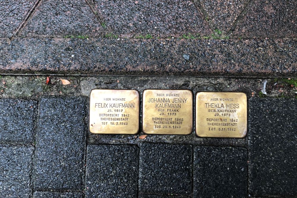 Stolpersteine Adolfsallee 30 #1