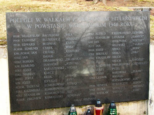 Poolse Oorlogsbegraafplaats Powsin #3
