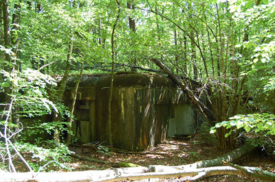 Maginotlinie - Blockhaus Biesenberg (7) #2