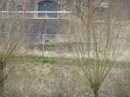 Group Shelter Type P Fort Everdingen #1