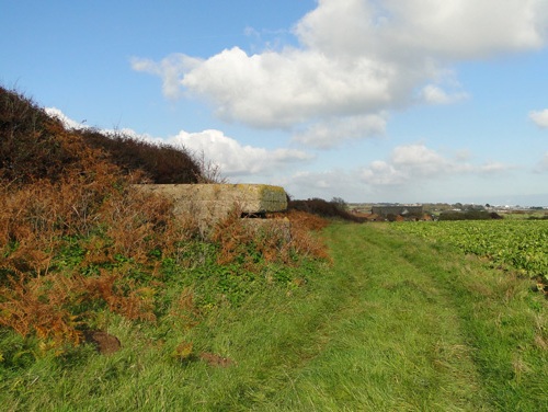 Suffolk Square Bunker Benacre