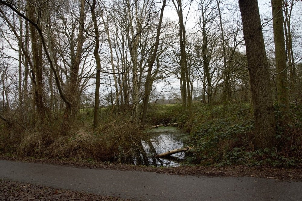 Remains German Anti-tank Ditch Schipborg #1