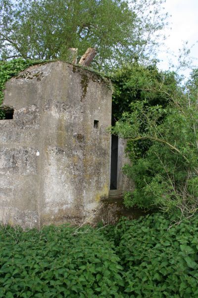 Pillbox FW3/24 Shillingford #3