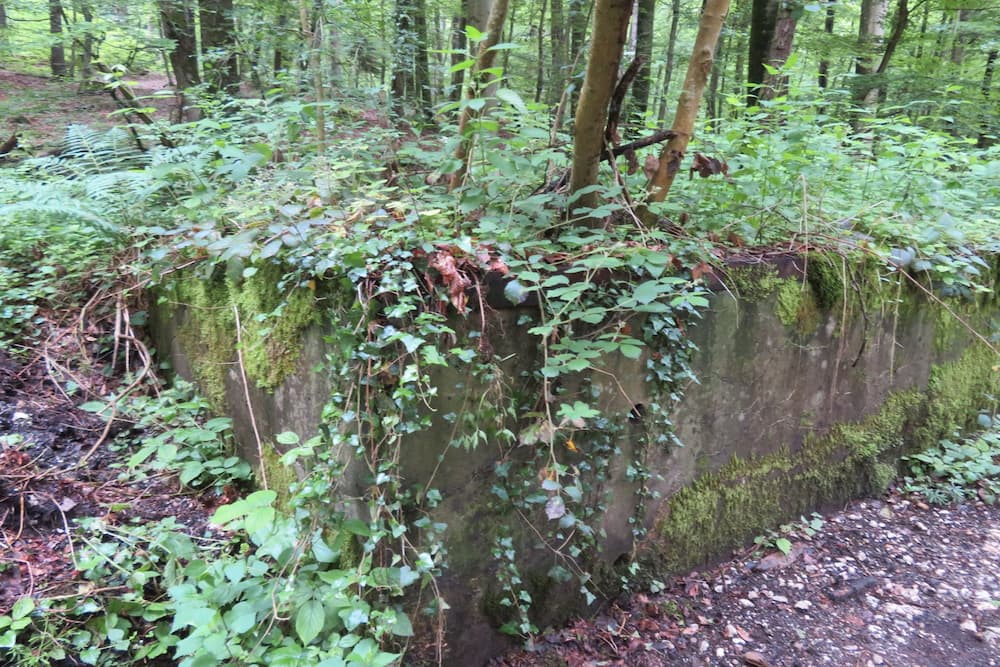 Maginot Line Batterie Breitenhag Unloading
