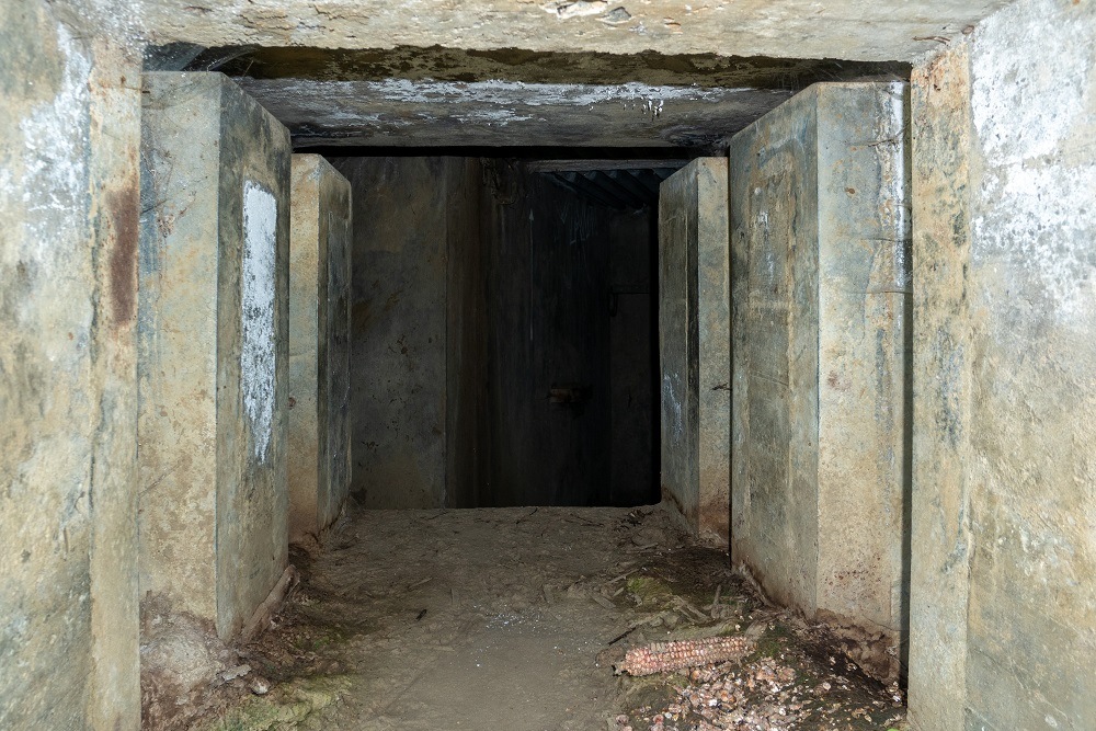 Bunker Ni7 KW-linie Pamel #4