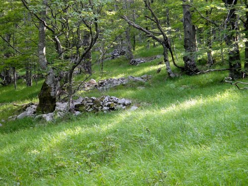 Alpine Wall - MG Positions Trstenik #1