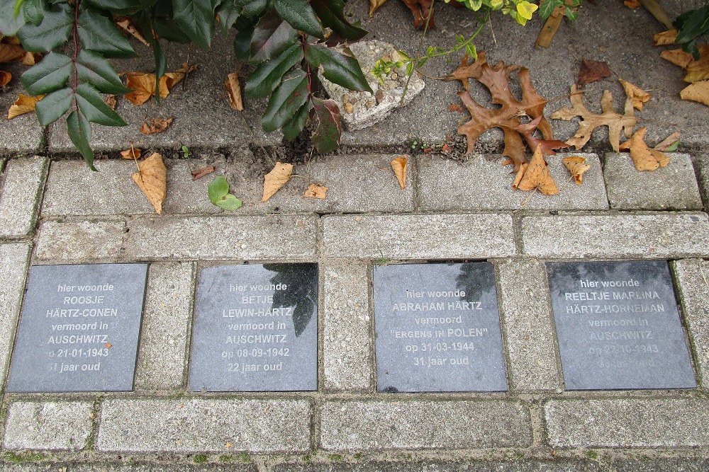 Memorial Stones Albert Hahnstraat 22 #1