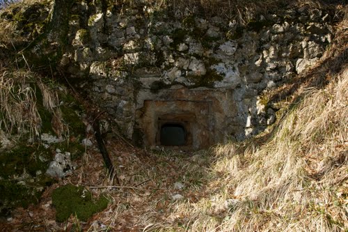 Alpine Wall - Fort No. 1 Studena #2