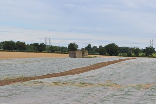 Suffolk Square Bunker Friston