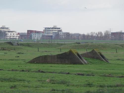 Group Shelter Spaarndam #1