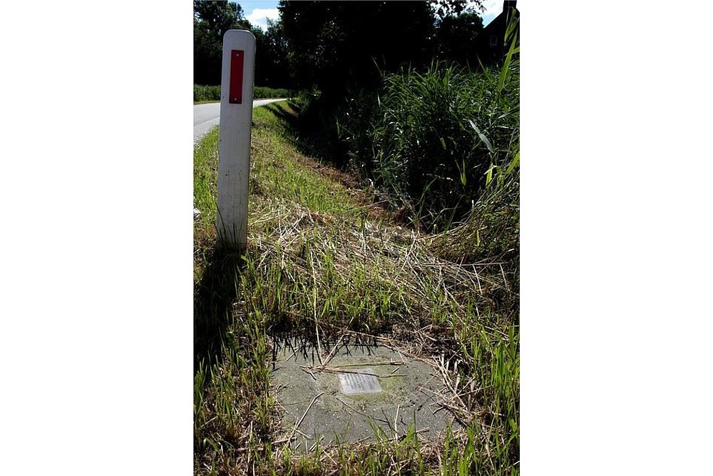 Stolperstein Ellerhuizen 10 #3