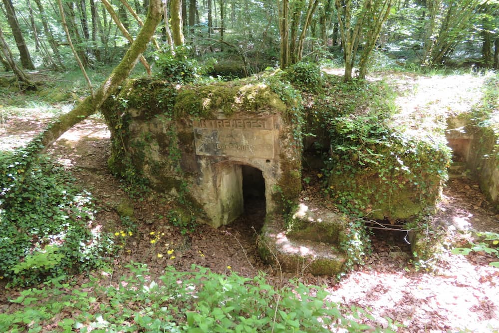 Bavarian Trenches IN TREUEFEST Apremont-la-Forêt #1