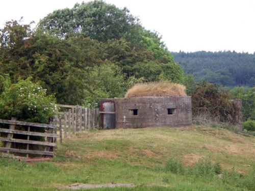 Lozenge Pillbox Brinkburn #1