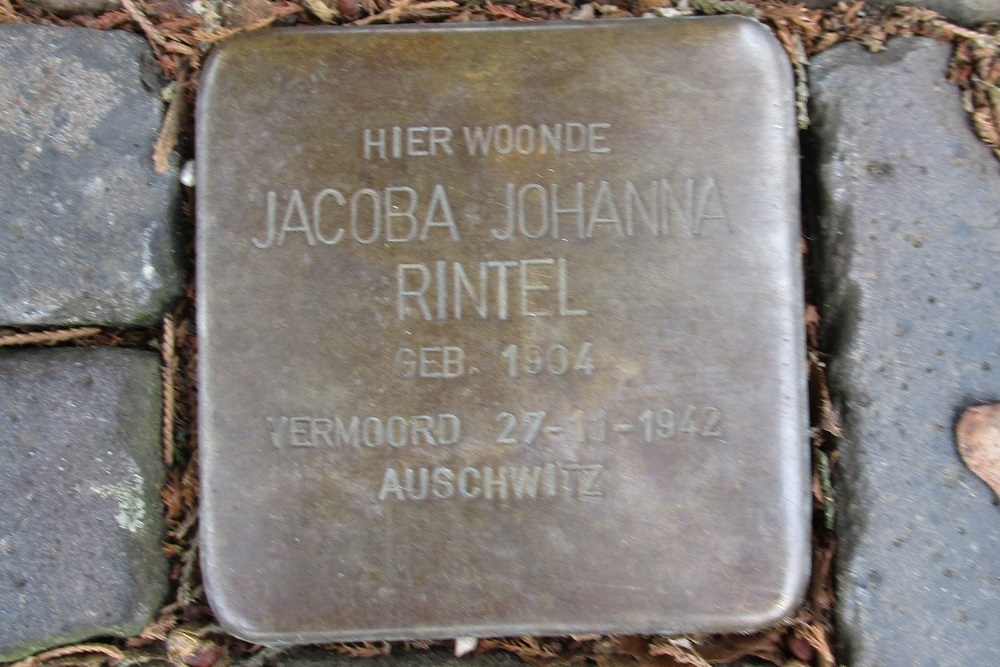 Stolpersteine Paul Krugerstraat 52 #3