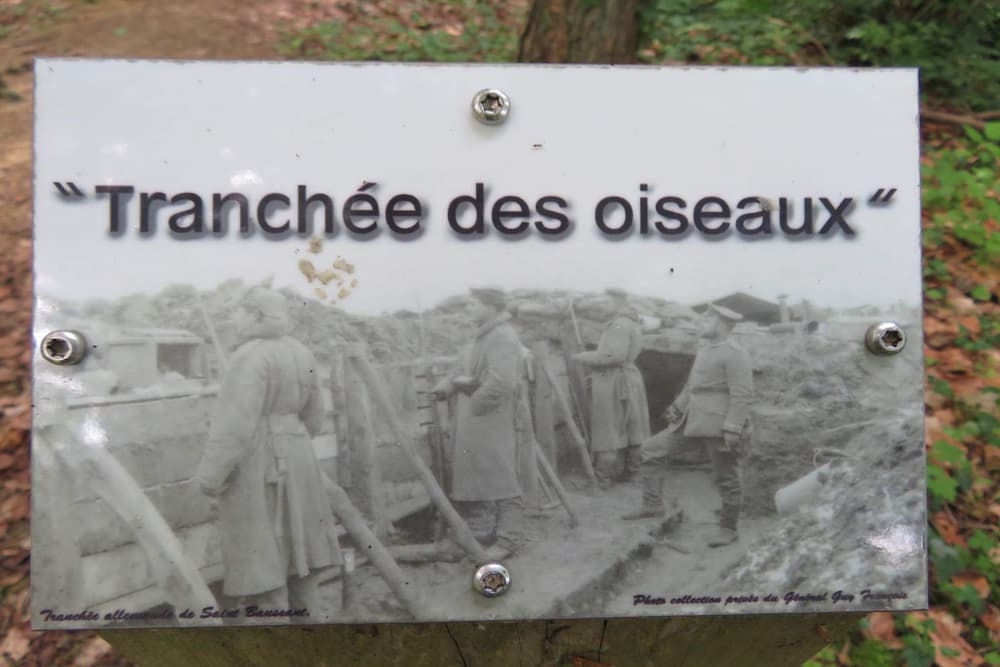 Trenches Des Oiseaux Saint-Baussant #1