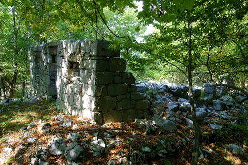 Alpine Wall - Ruins Italian Barracks Klana #2