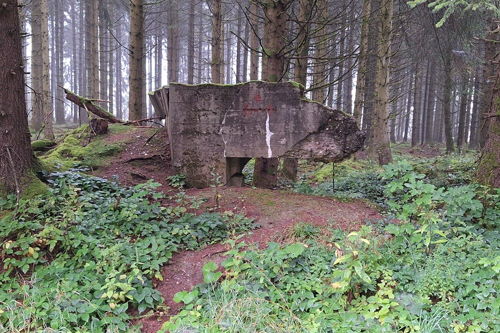 Duitse Bunker Hollerath