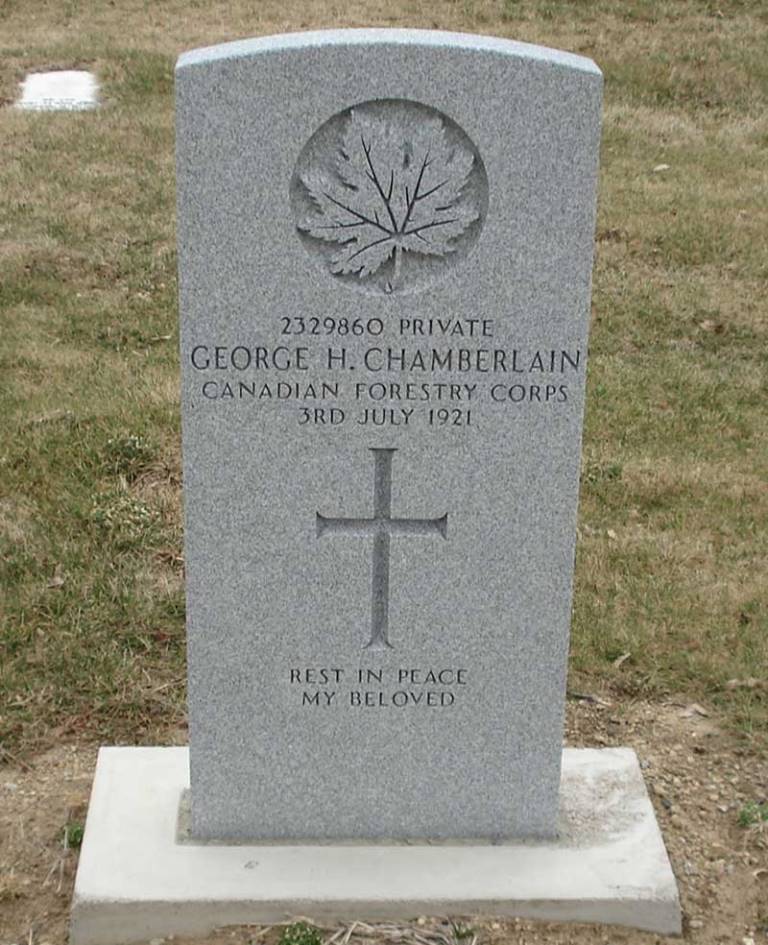 Commonwealth War Grave Saint Michael's Cemetery