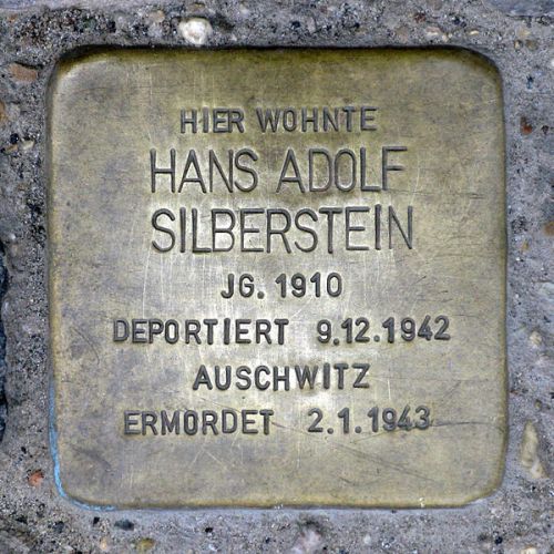 Stolpersteine Schnholzer Strae 6 #3