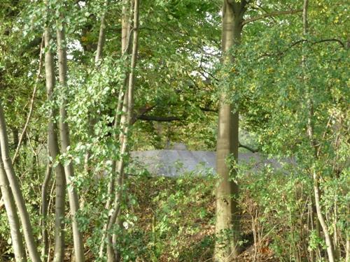 Group Shelter Type P Fort Blauwkapel #2